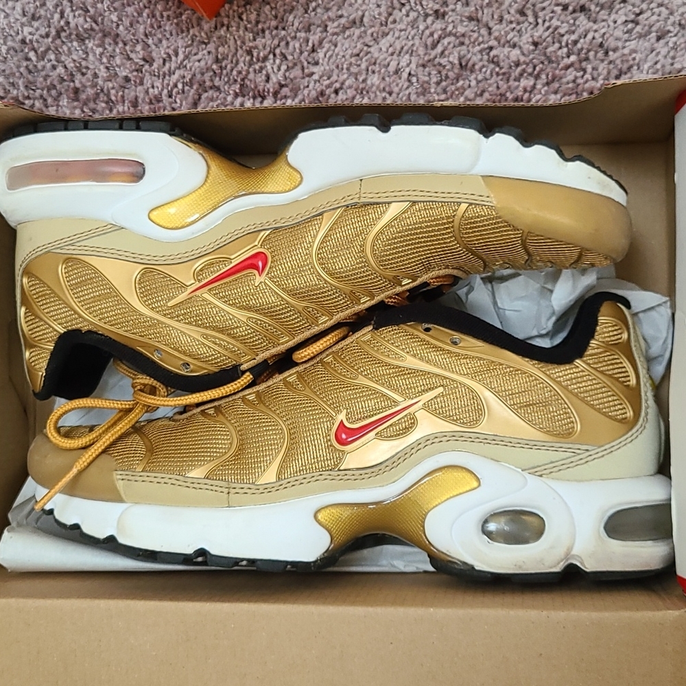 Nike airmax plus